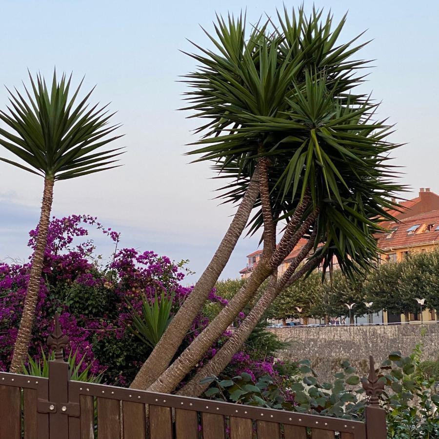 La Casa De Hierba - Casa De Campo De Diseno Con Jardin Y Wifi Cerca De Las Playas De Llanes Exterior foto
